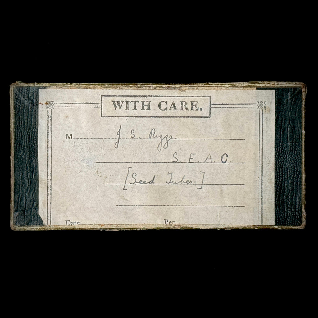 Antique botany collection of seed samples in glass vials, stored (as found) in cigarette box