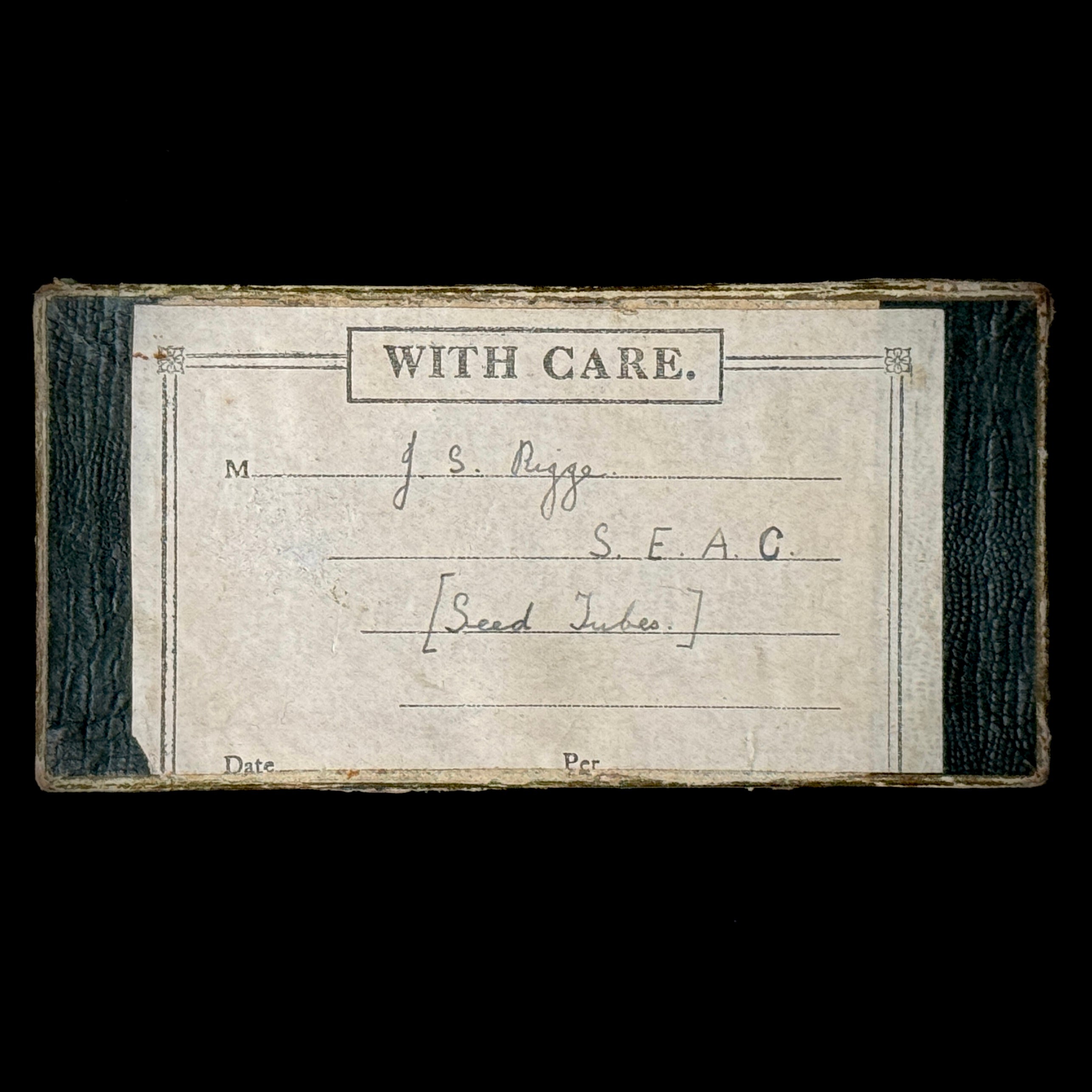 Antique botany collection of seed samples in glass vials, stored (as found) in cigarette box