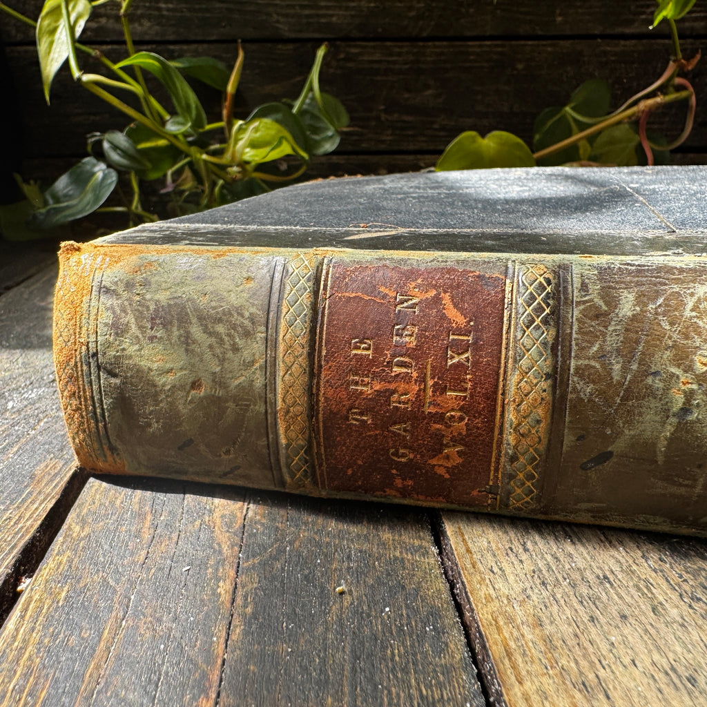 Leather bound Volume XI The Garden Illustrated Weekly, 1877