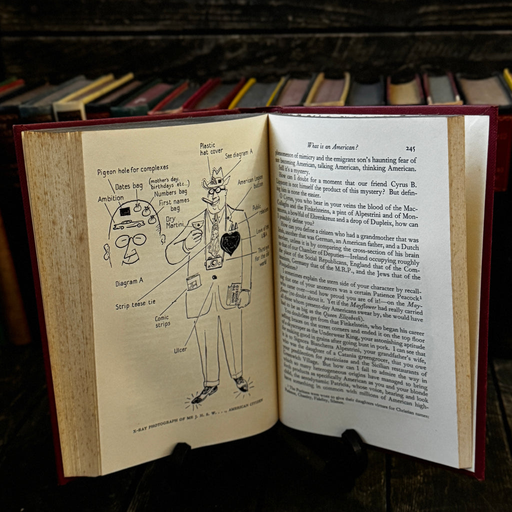 Major Thompson Compilation - An Illustrated, Satirical French Take On Cultural Differences