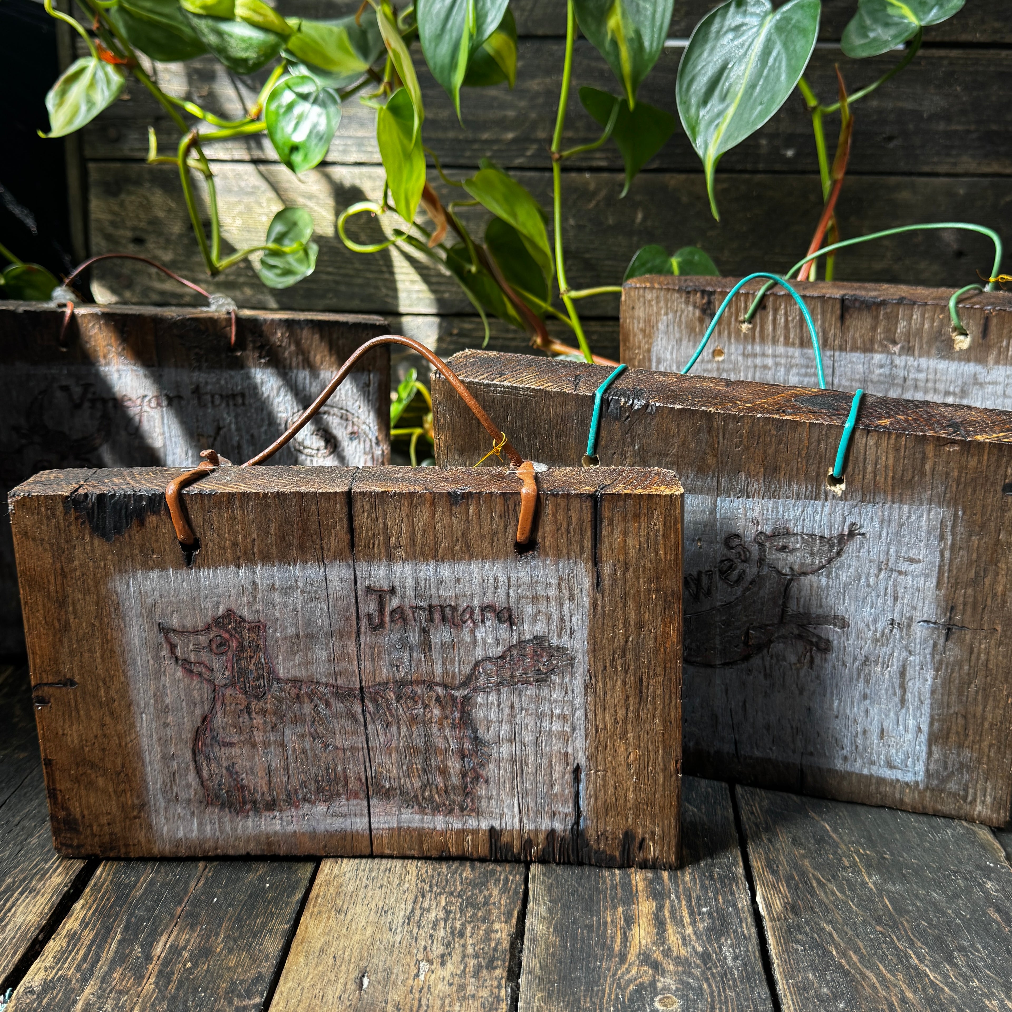 Witch’s Familiar ‘Newes’, Handmade, Reclaimed Wood, Woodcut Wall Hanging