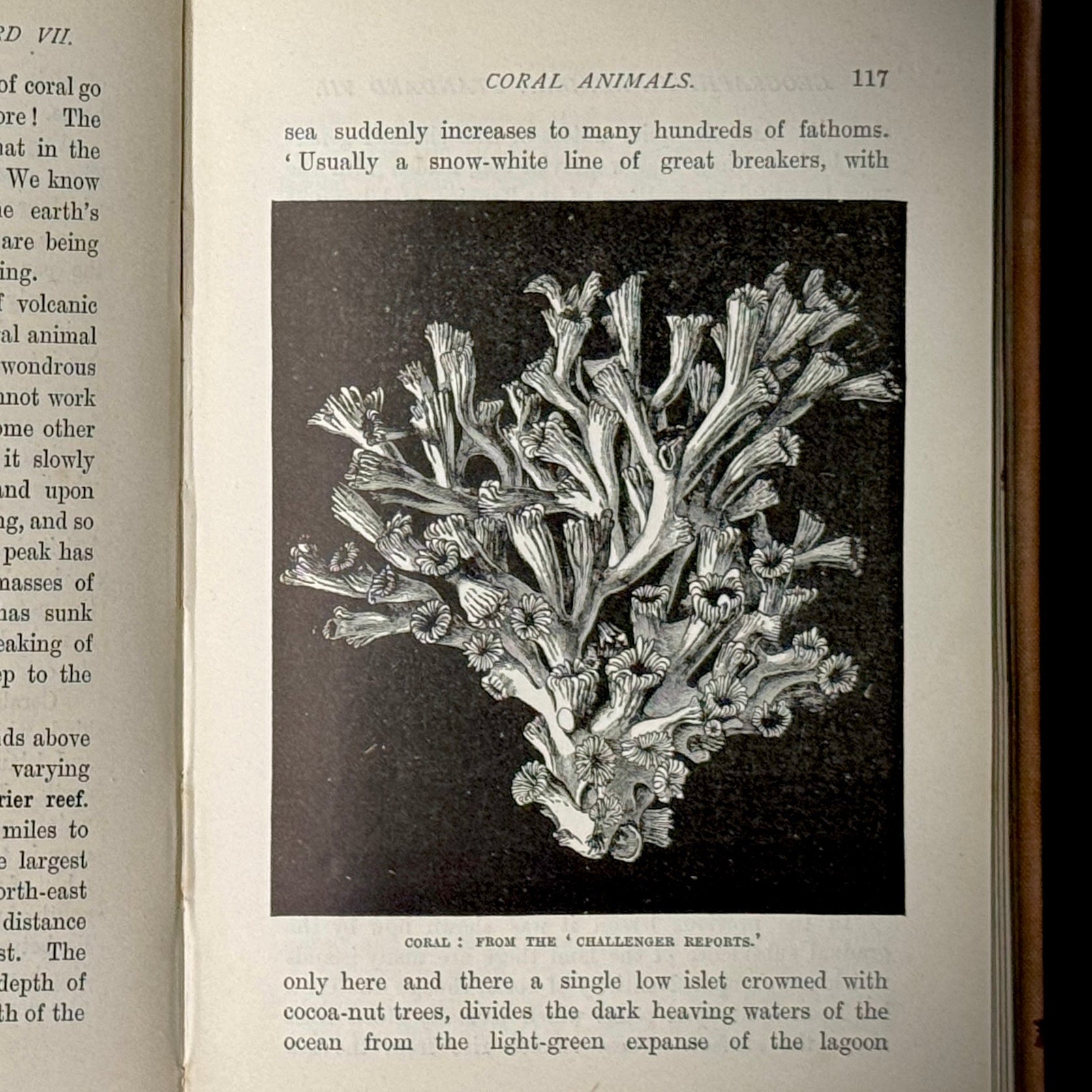 1890 edition of Longman's Geographical Reader VII on Oceans, Currents, Tides, etc.