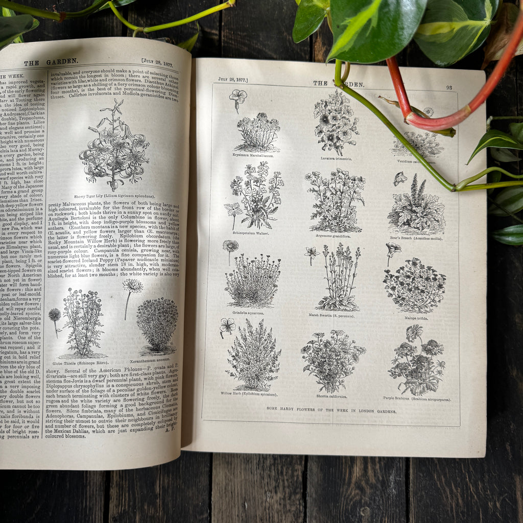 Leather bound Volume XII The Garden Illustrated Weekly