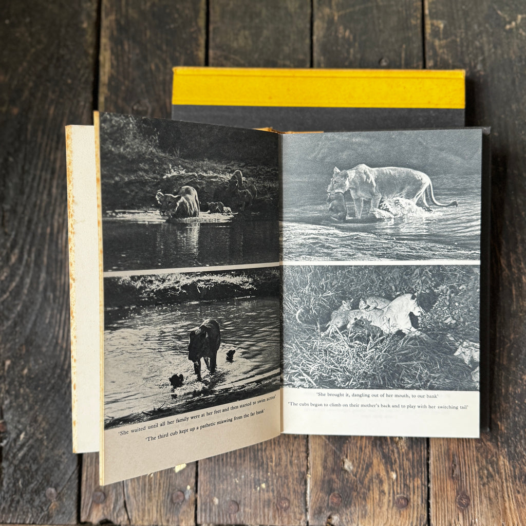 Set of Two Joy Adamson Books Born Free and Living Free, telling the story of Elsa the Lioness