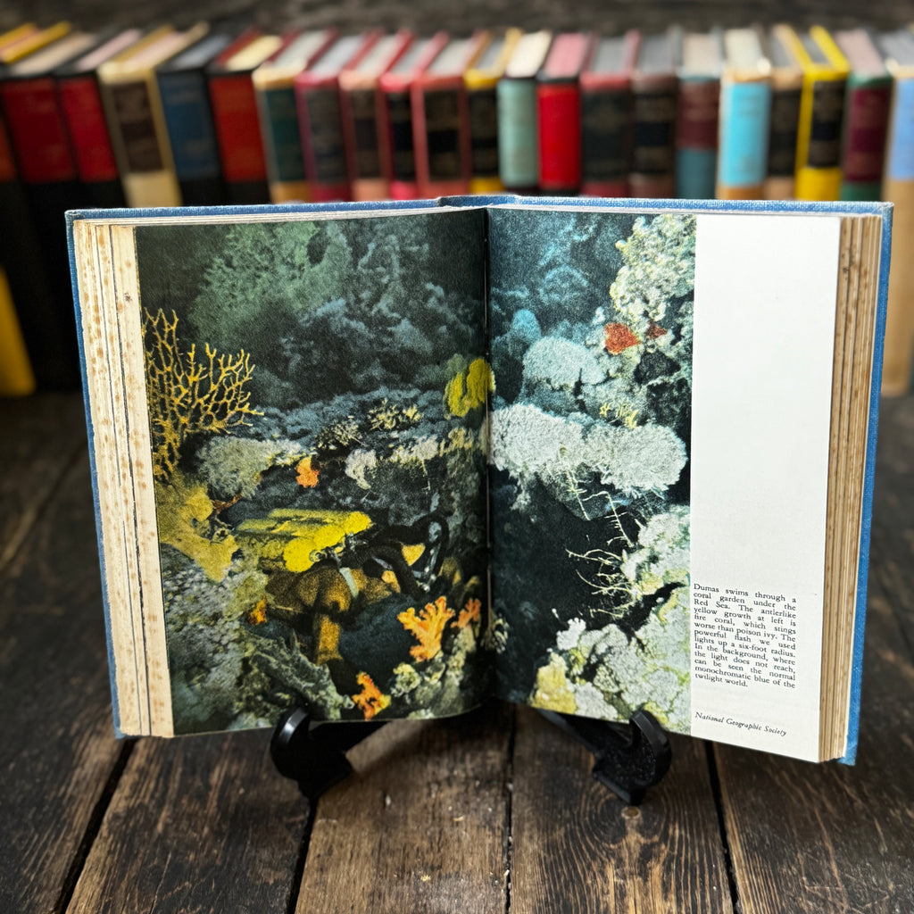 Mid twentieth-century books on the sea, set of four iconic titles in matching hard covers