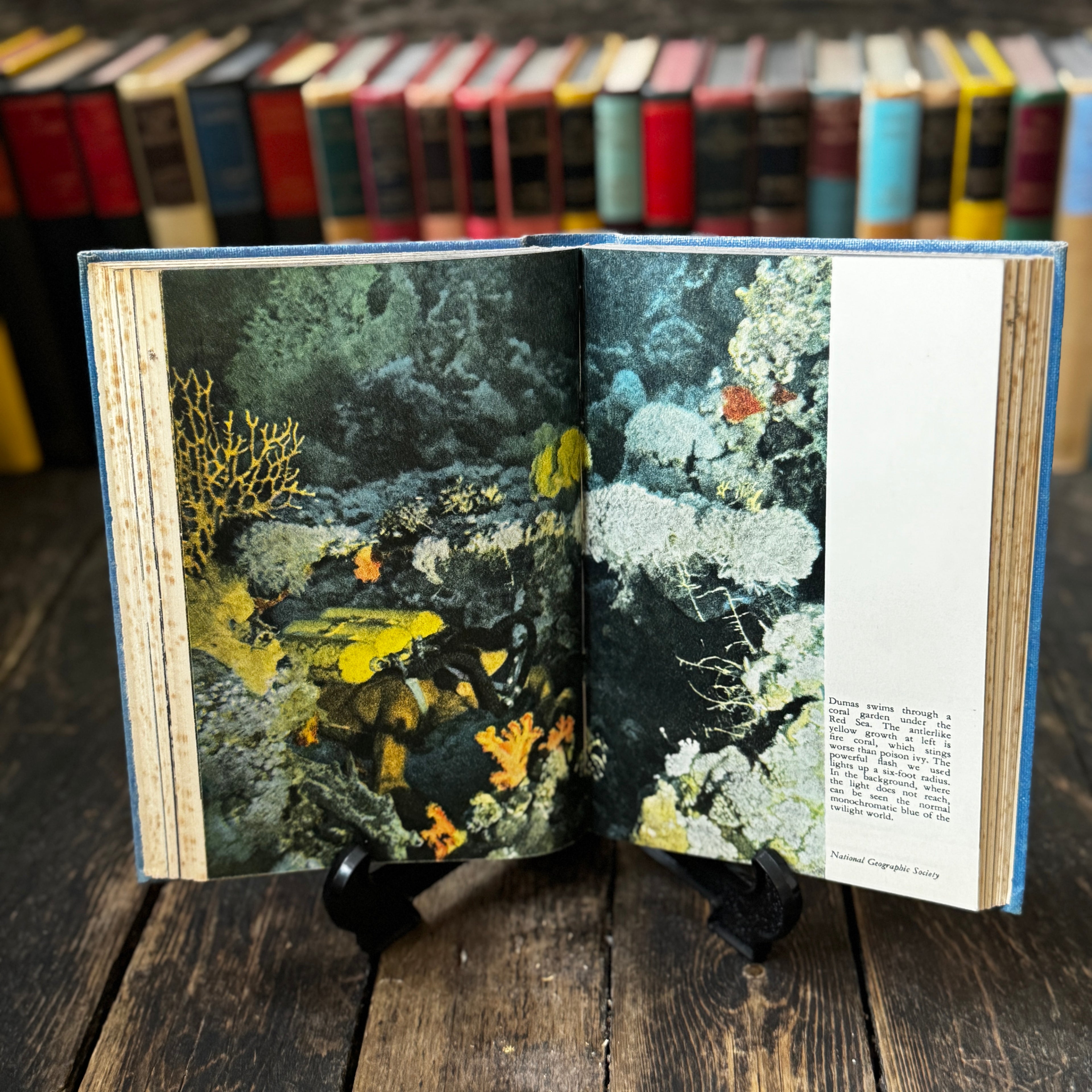 Mid twentieth-century books on the sea, set of four iconic titles in matching hard covers