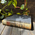 Leather bound Volume XI The Garden Illustrated Weekly, 1877