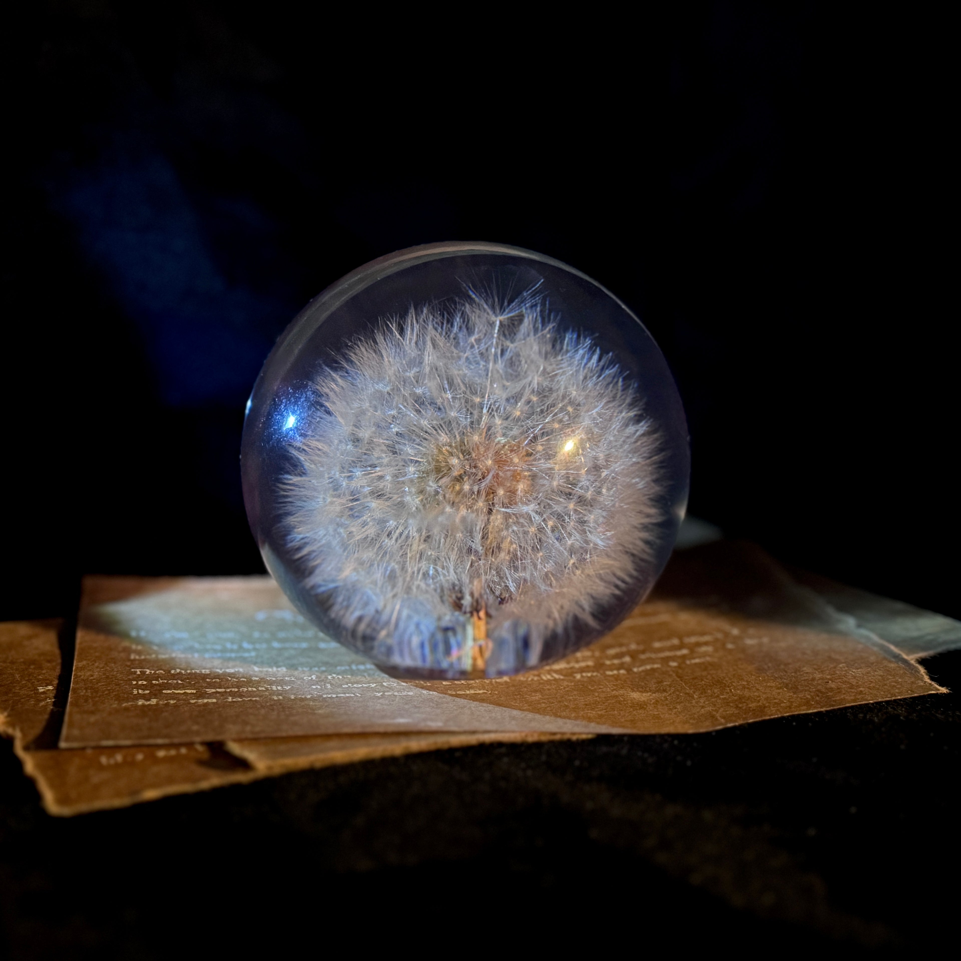 Lucite paperweight encasing real dandelion