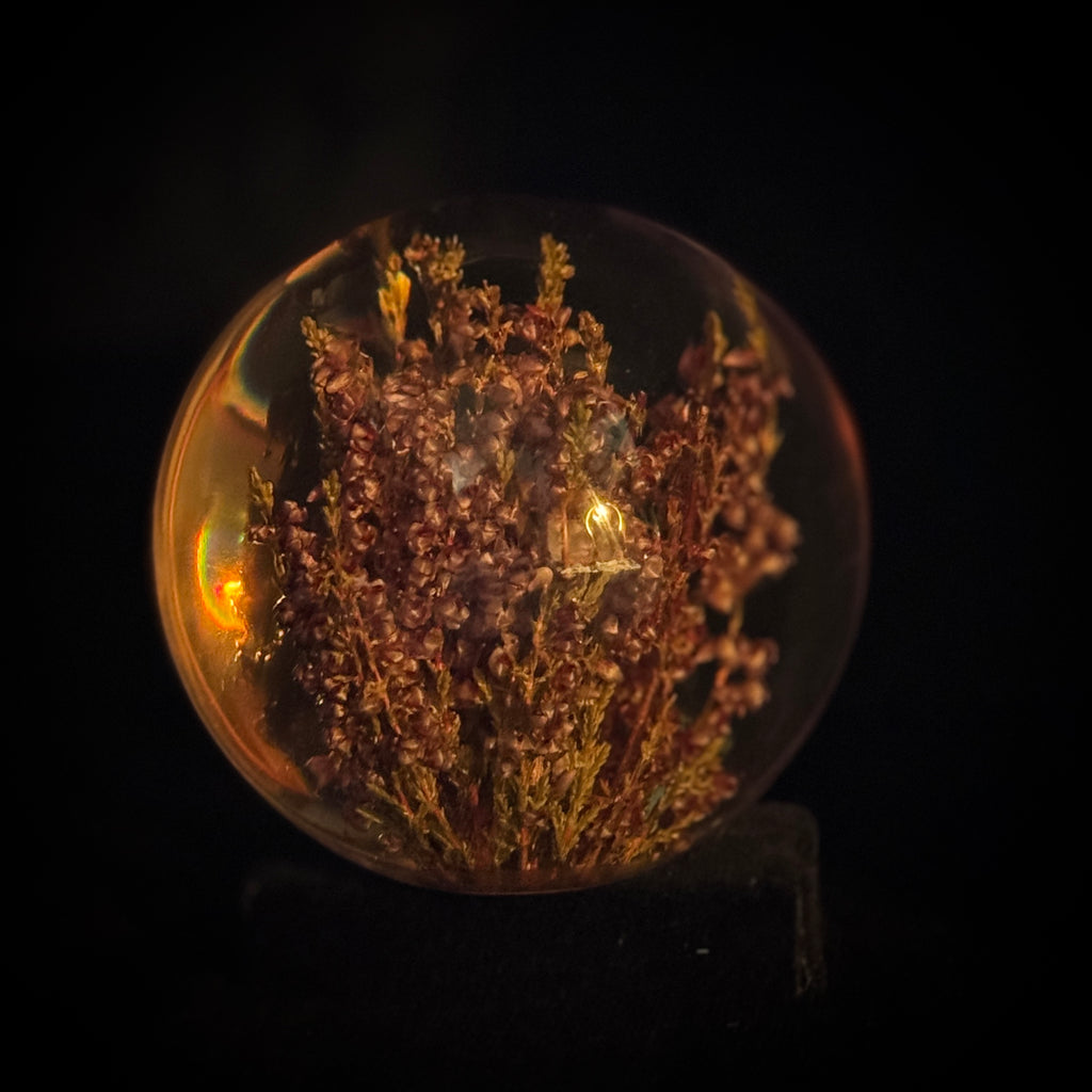 Lucite paperweight encasing real heather plant