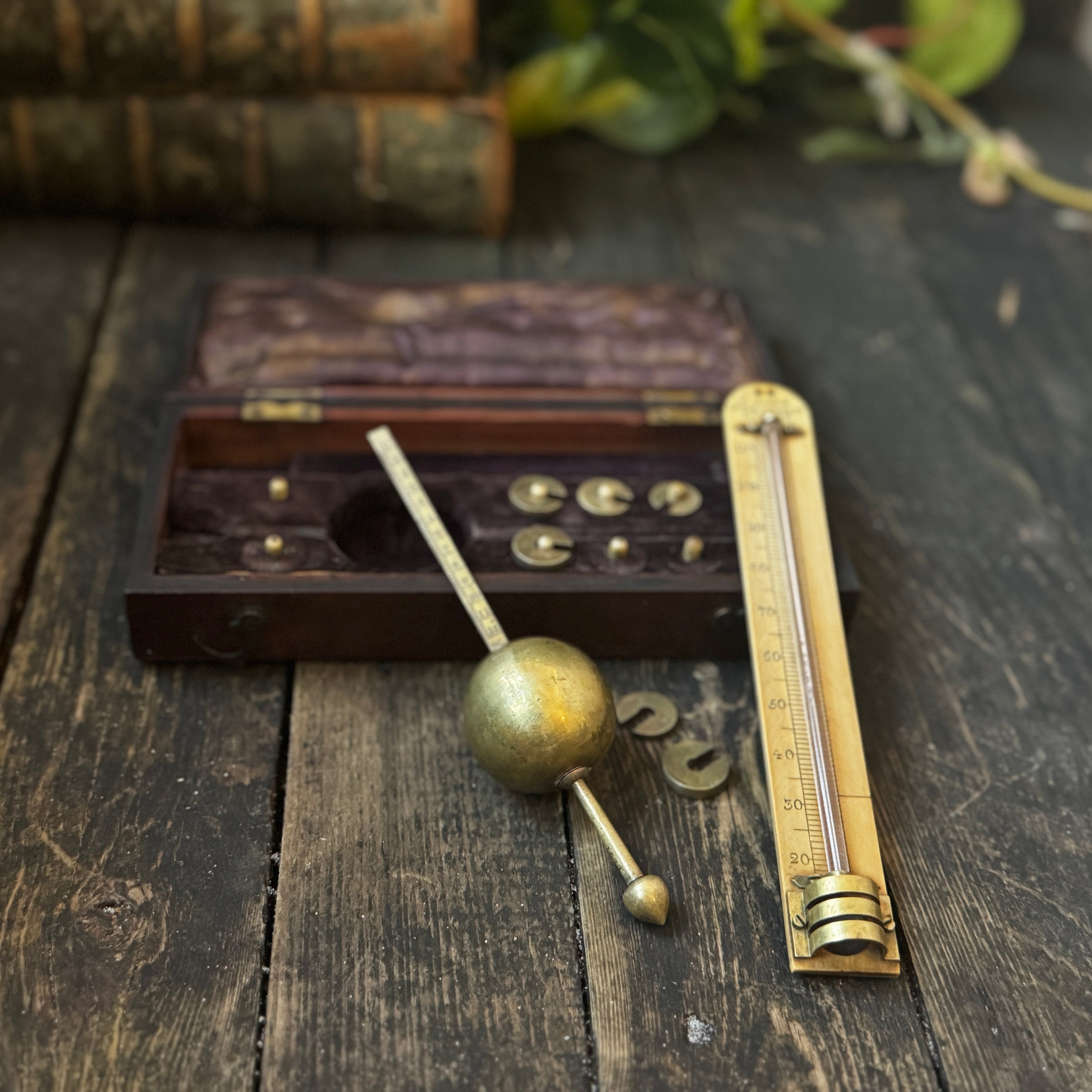 Early 1800s Sikes’ Hydrometer in Wooden and Bone Case