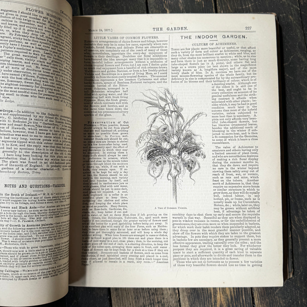 Leather bound Volume XI The Garden Illustrated Weekly, 1877