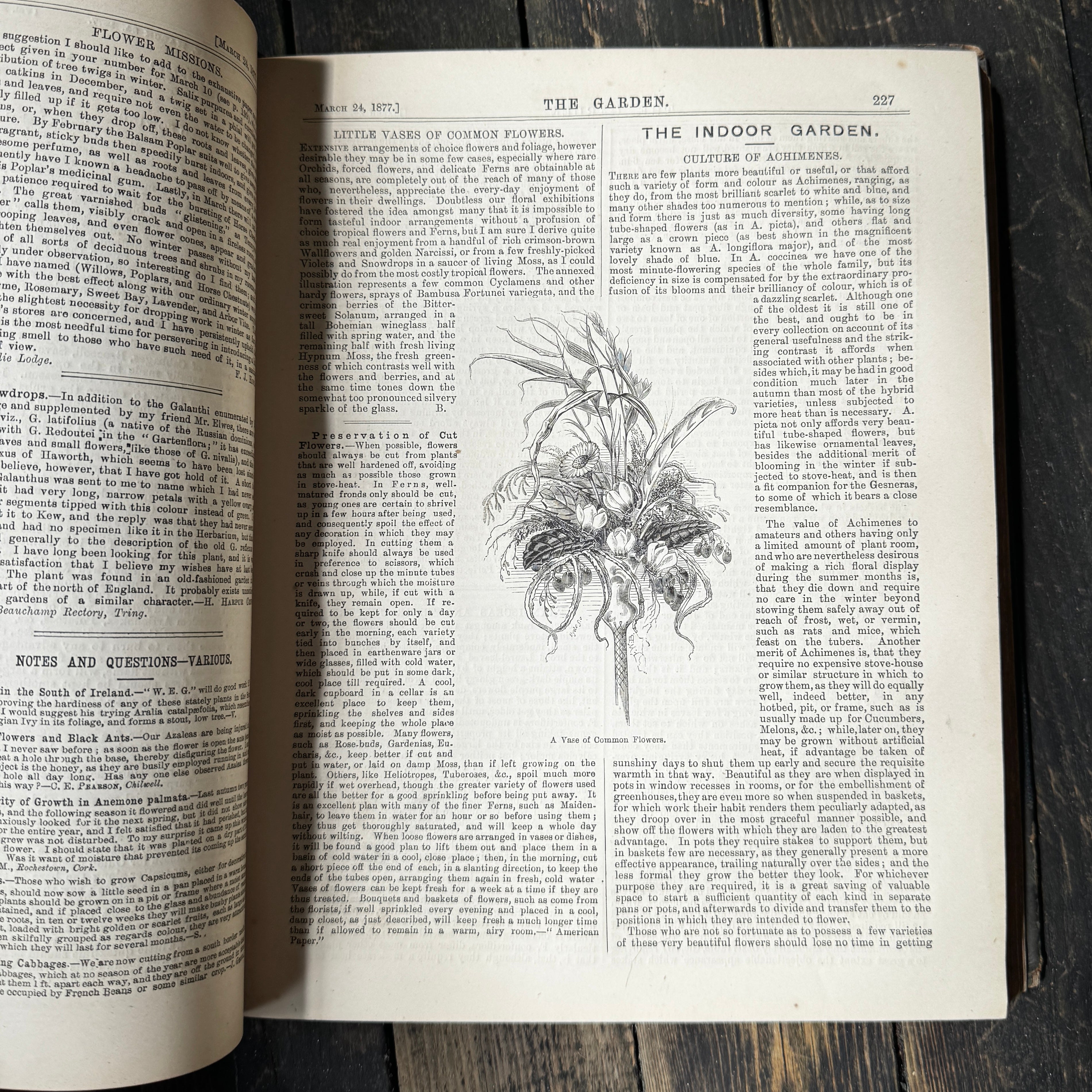 Leather bound Volume XI The Garden Illustrated Weekly, 1877