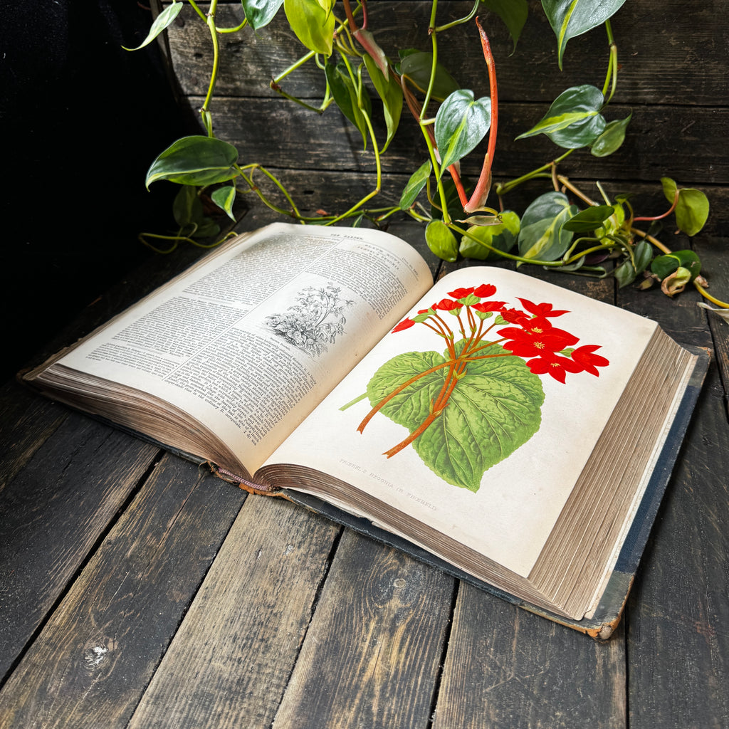 Leather bound Volume XII The Garden Illustrated Weekly