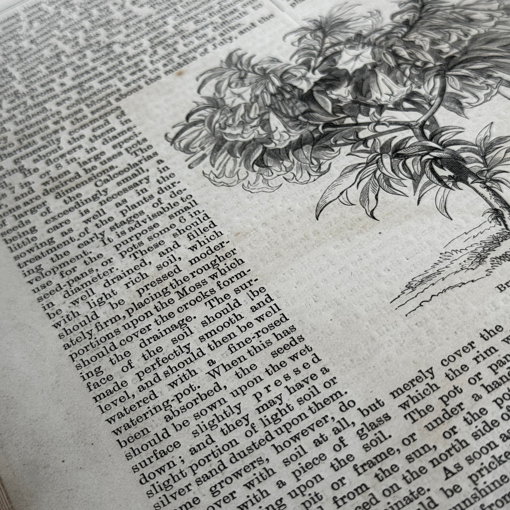 Leather bound Volume XII The Garden Illustrated Weekly
