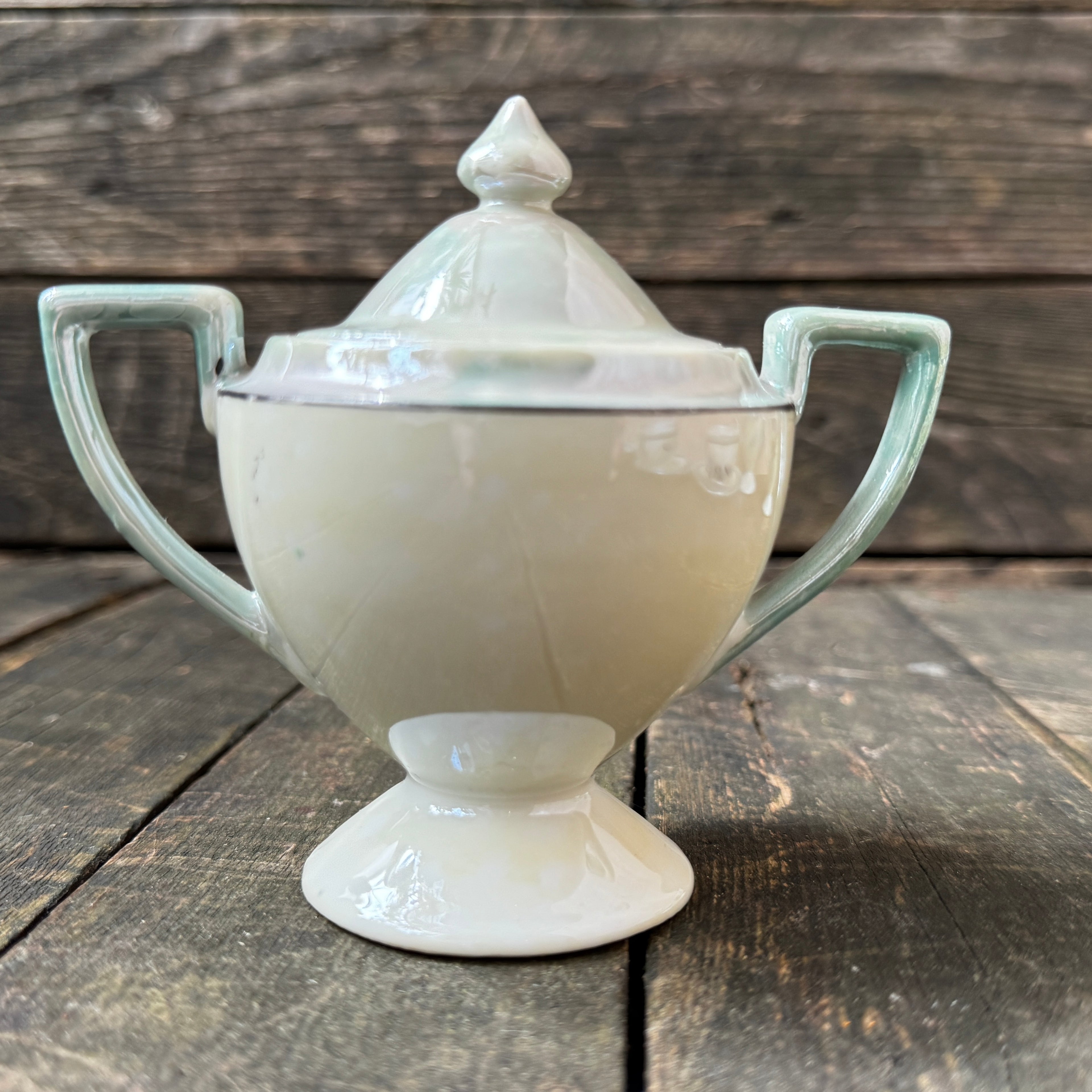 Delicate Hand-Painted Japanese Eggshell Ware Tea Set For Two