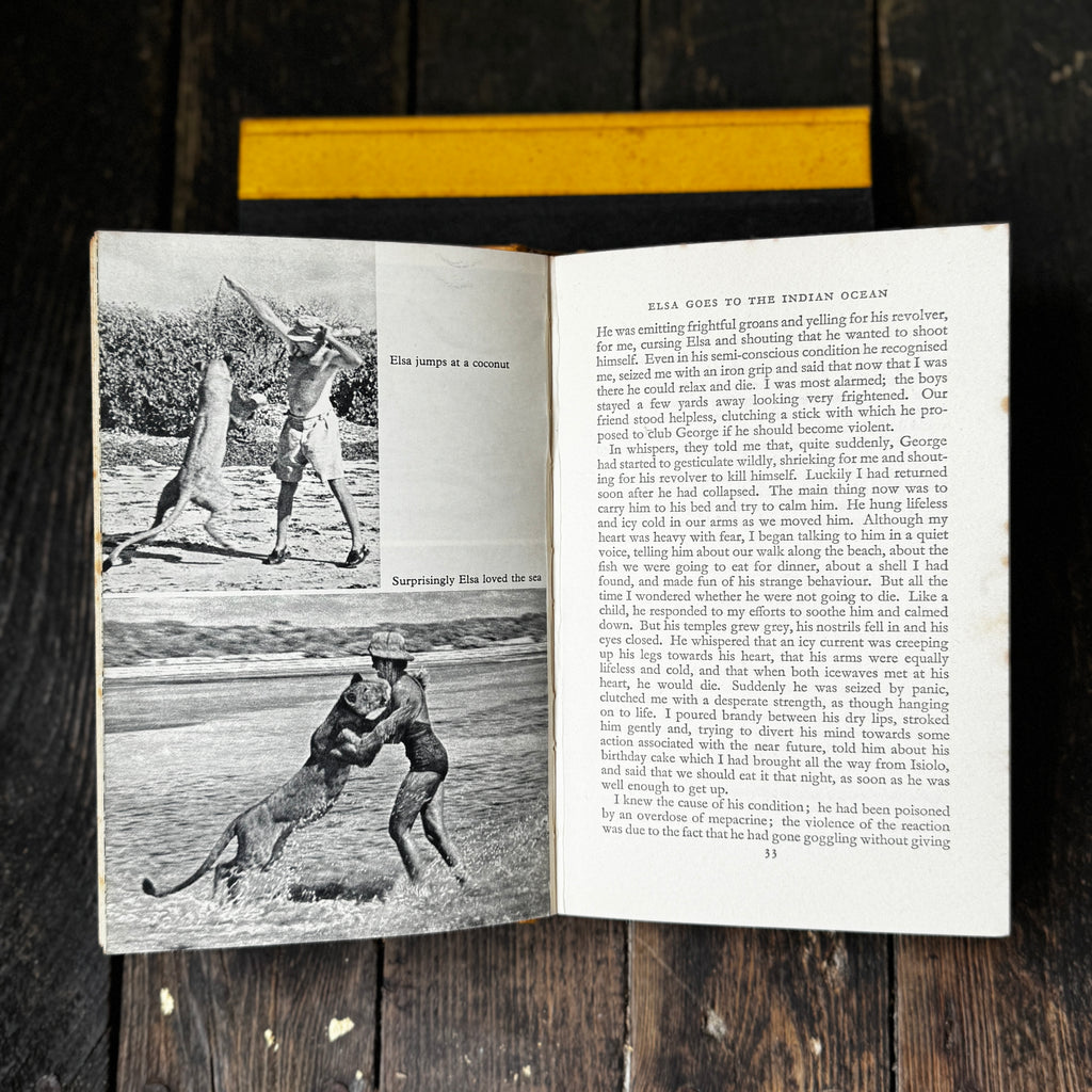Set of Two Joy Adamson Books Born Free and Living Free, telling the story of Elsa the Lioness