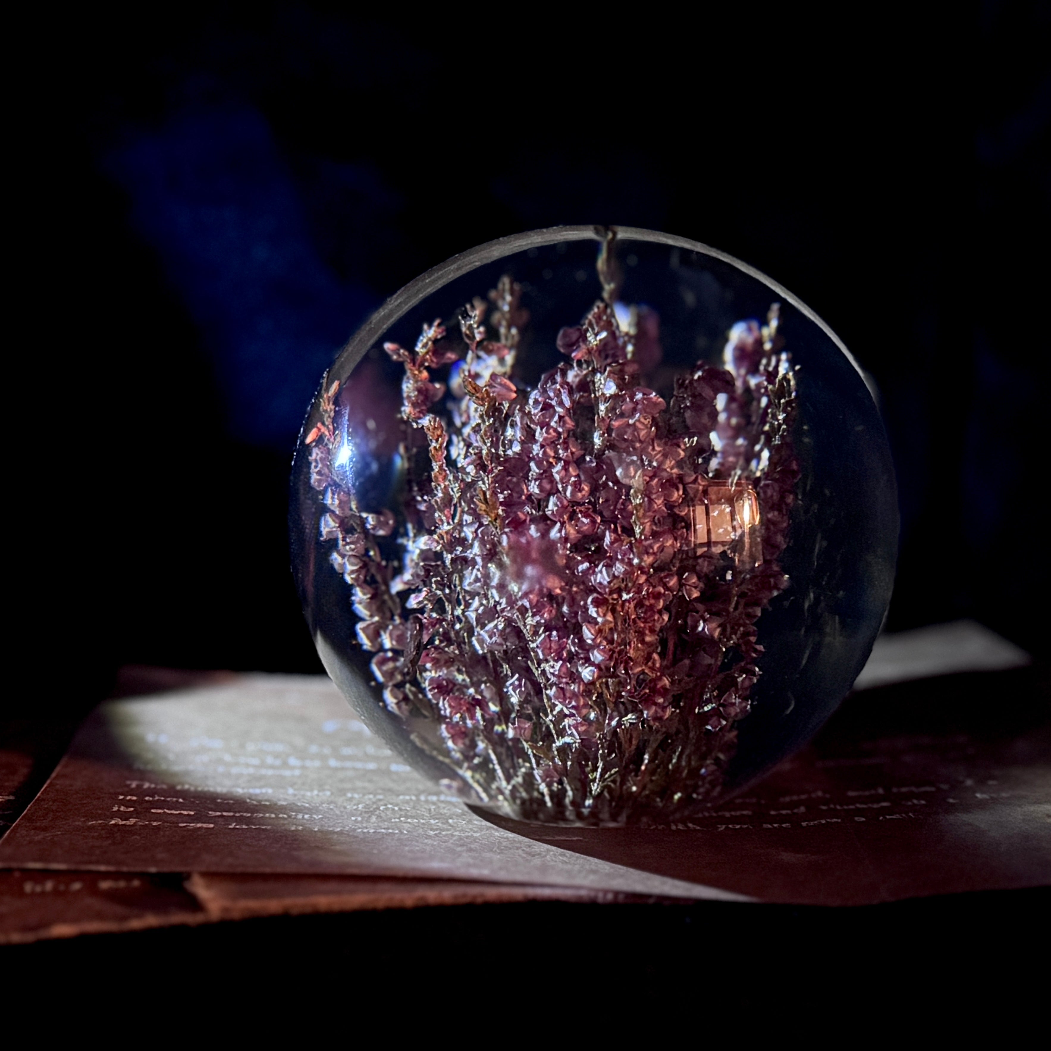 Lucite paperweight encasing real heather plant