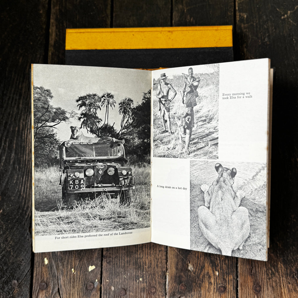 Set of Two Joy Adamson Books Born Free and Living Free, telling the story of Elsa the Lioness