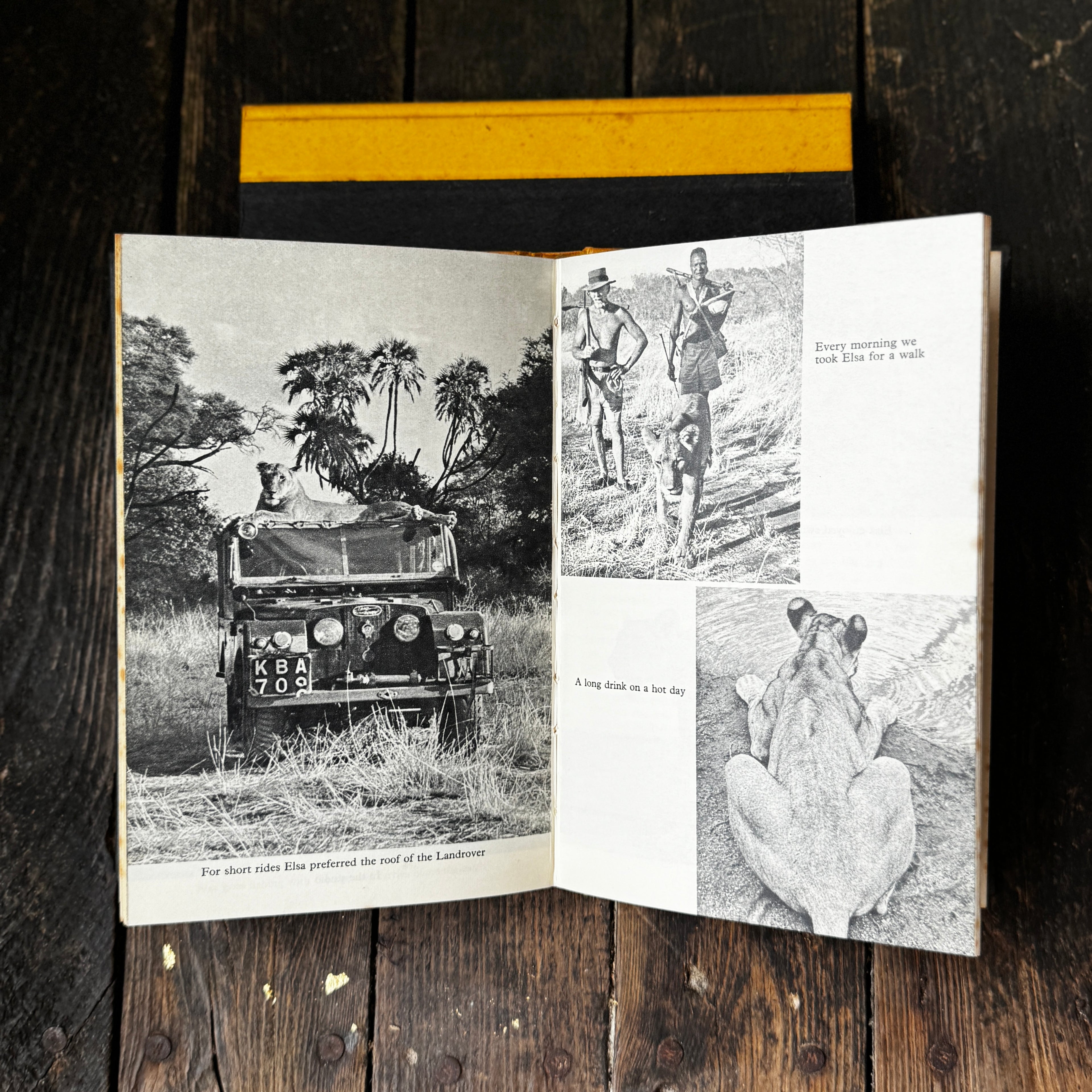 Set of Two Joy Adamson Books Born Free and Living Free, telling the story of Elsa the Lioness