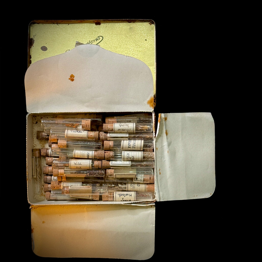 Antique botany samples in glass vials, stored (as found) in early 20th century collectible cigarette tin