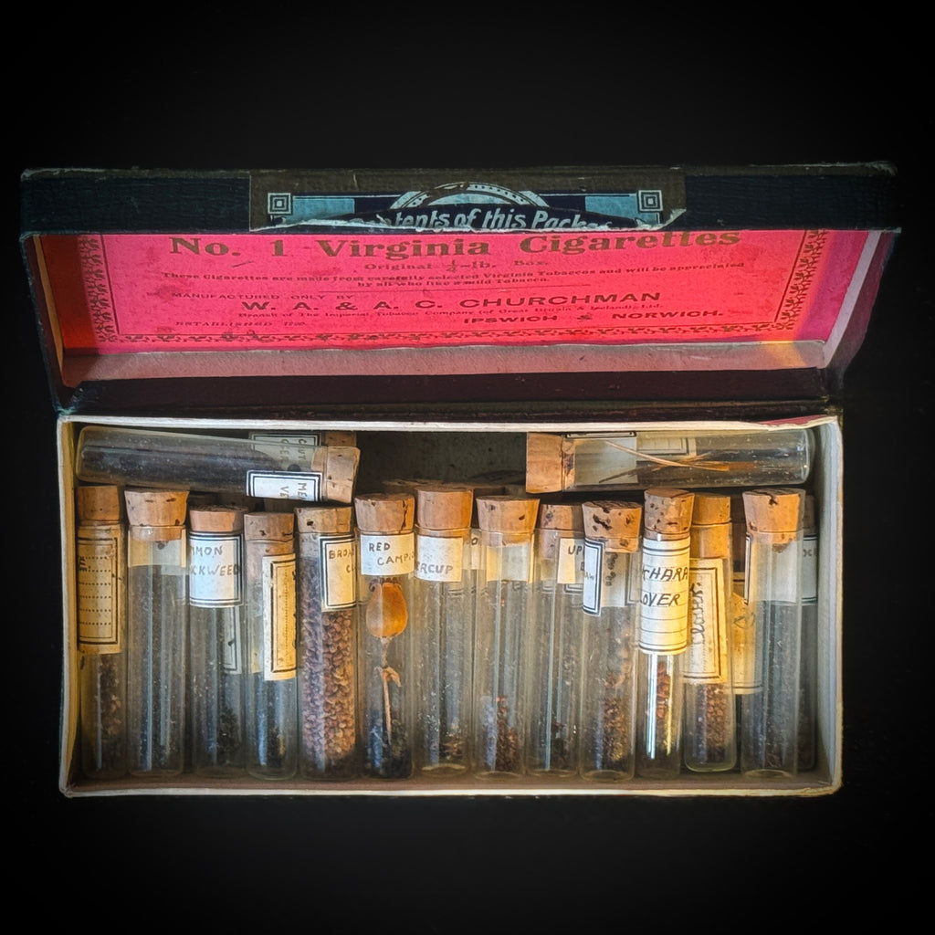 Antique botany collection of seed samples in glass vials, stored (as found) in cigarette box