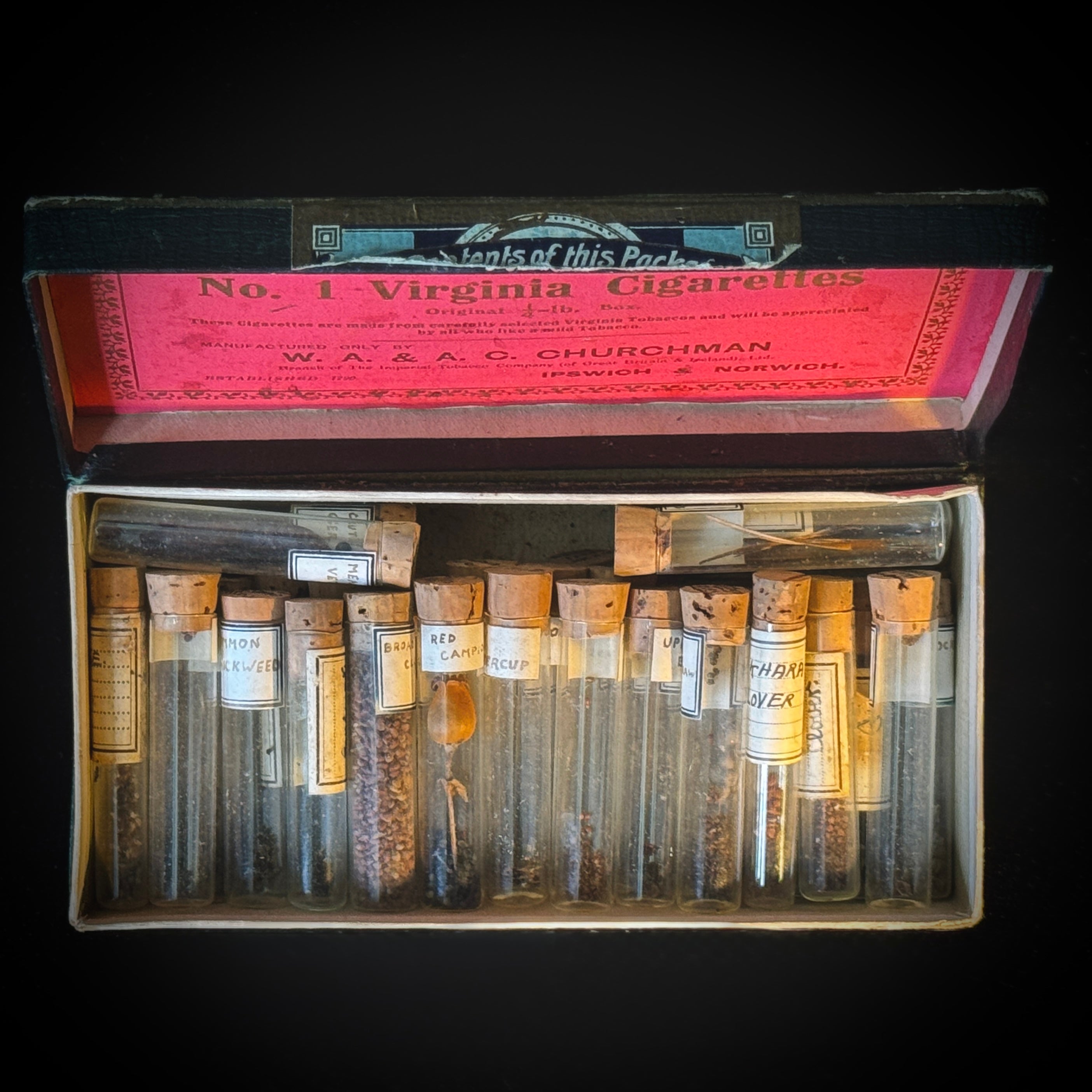 Antique botany collection of seed samples in glass vials, stored (as found) in cigarette box