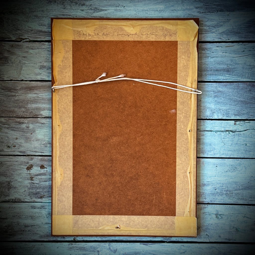 Jan Bowles (Artist) Original Framed Watercolour of Flowers