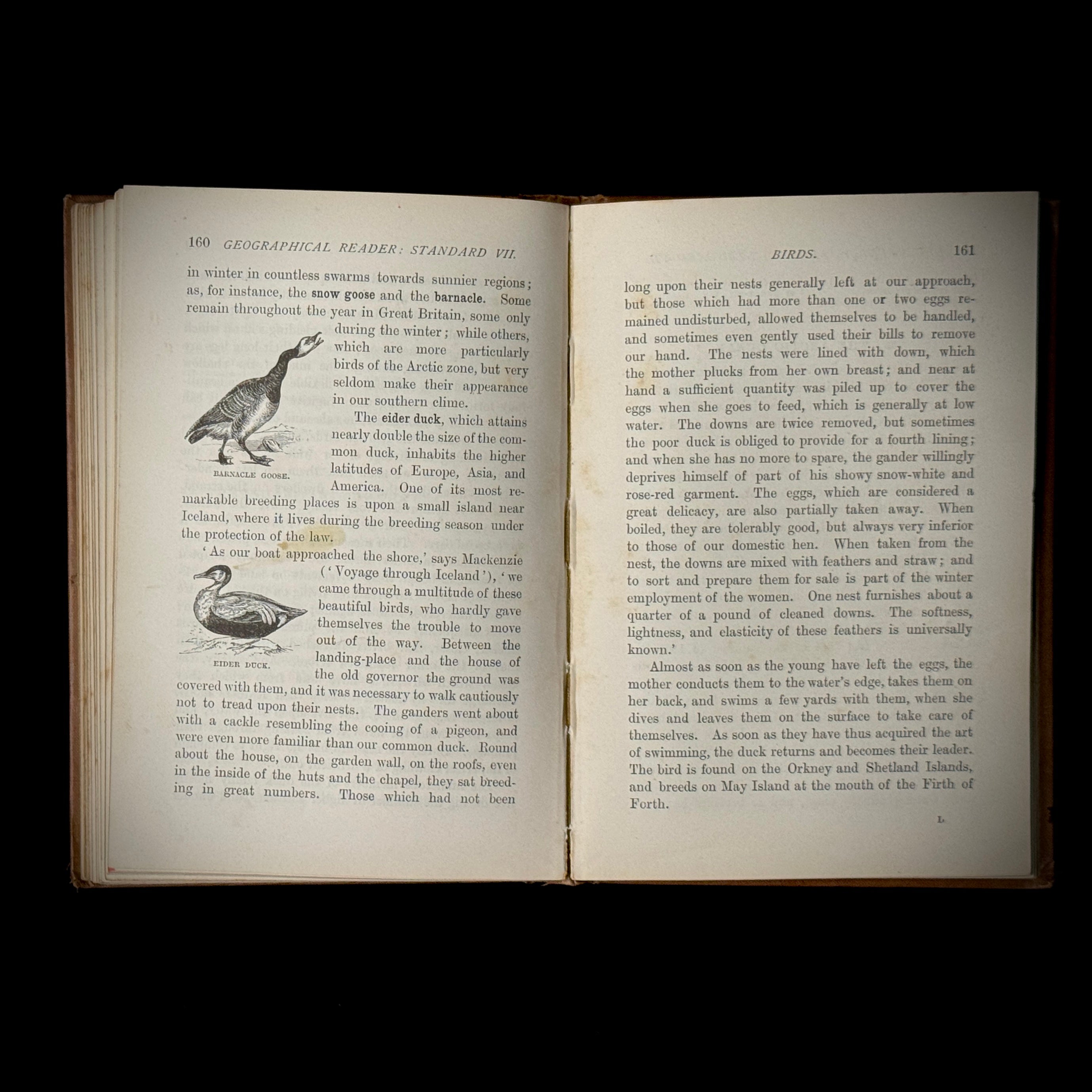 1890 edition of Longman's Geographical Reader VII on Oceans, Currents, Tides, etc.