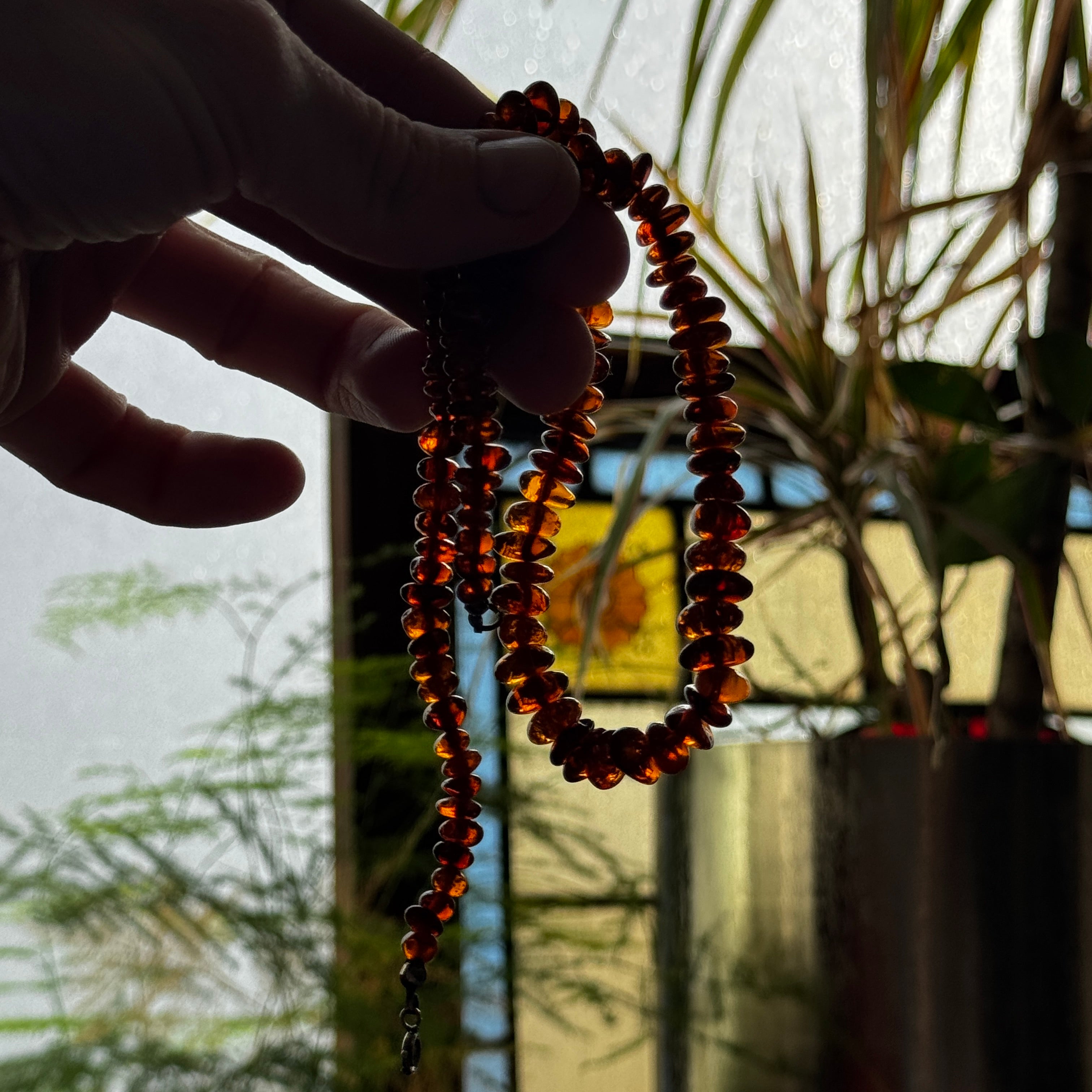 Baltic Amber Necklace