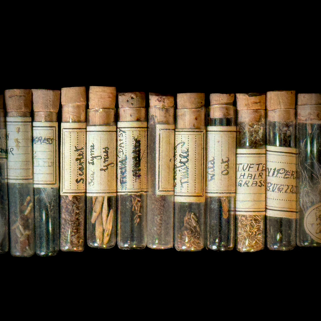 Antique botany samples in glass vials, stored (as found) in early 20th century collectible cigarette tin