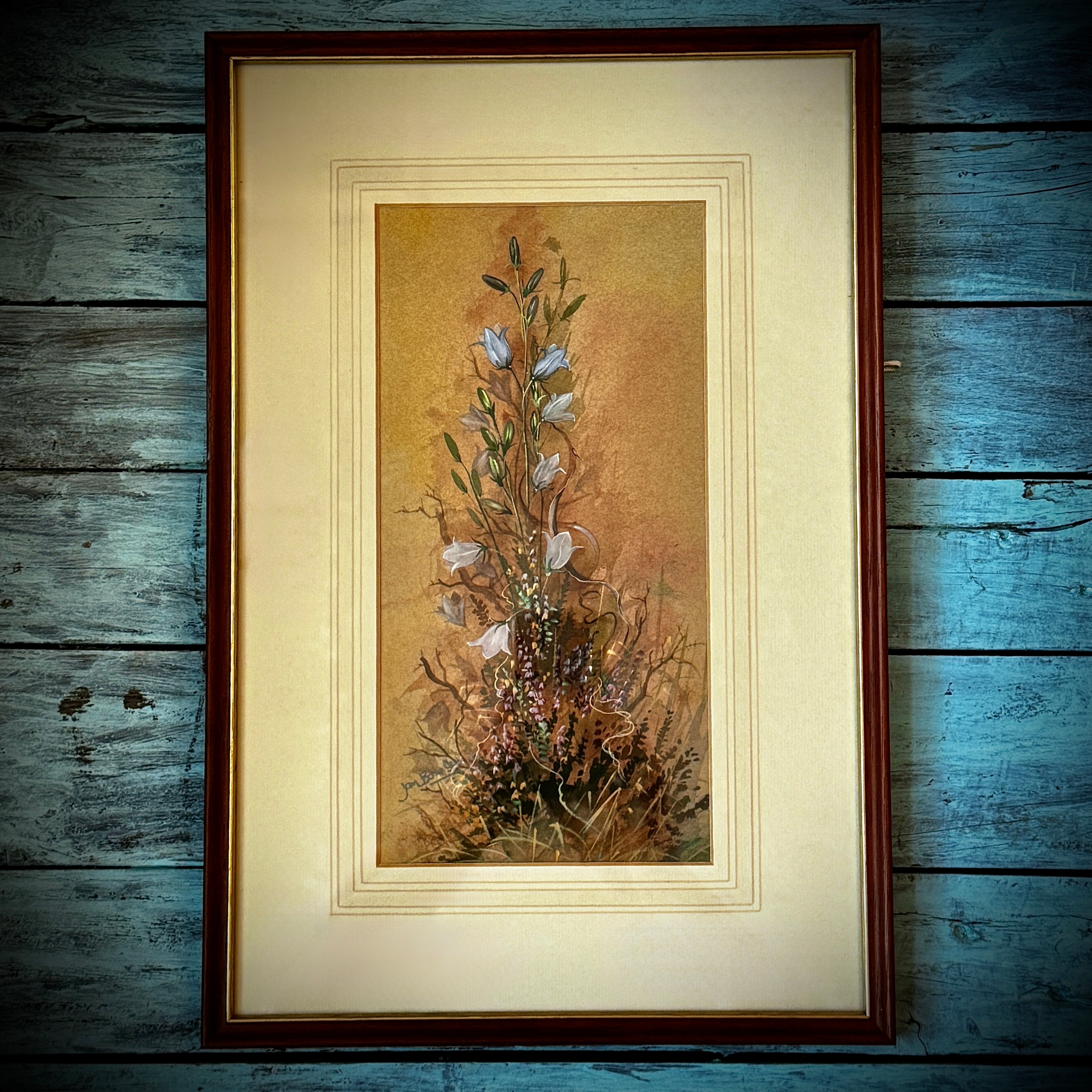Jan Bowles (Artist) Original Framed Watercolour of Flowers