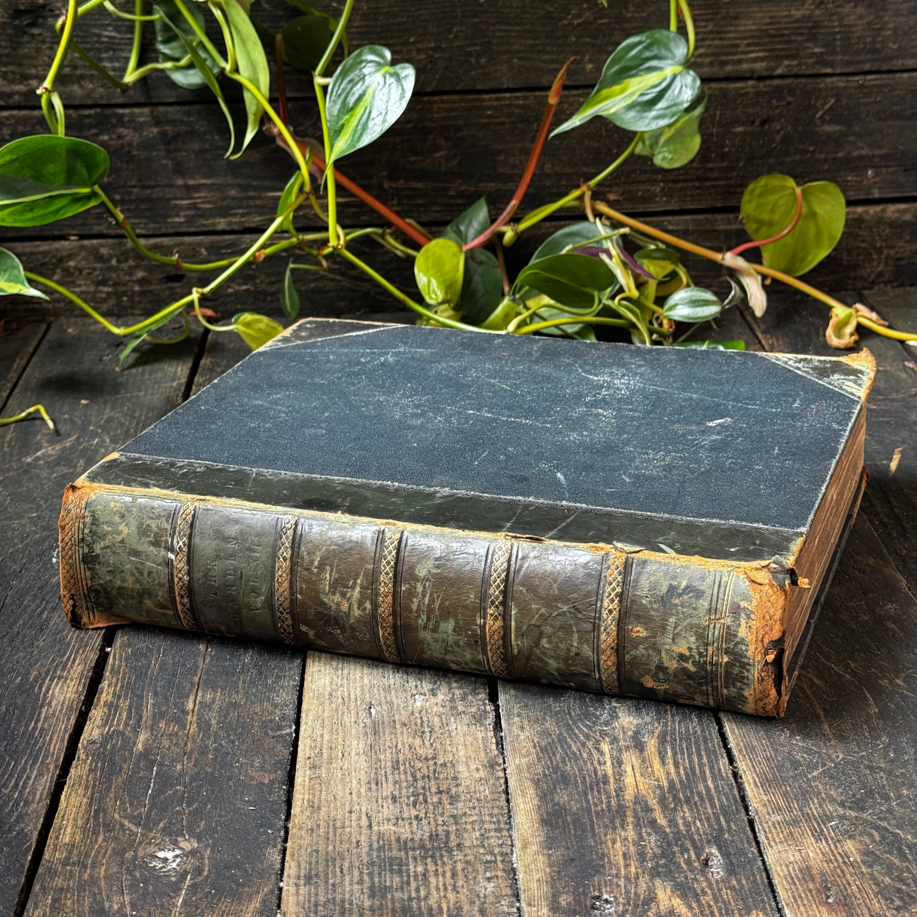 Leather bound Volume XII The Garden Illustrated Weekly