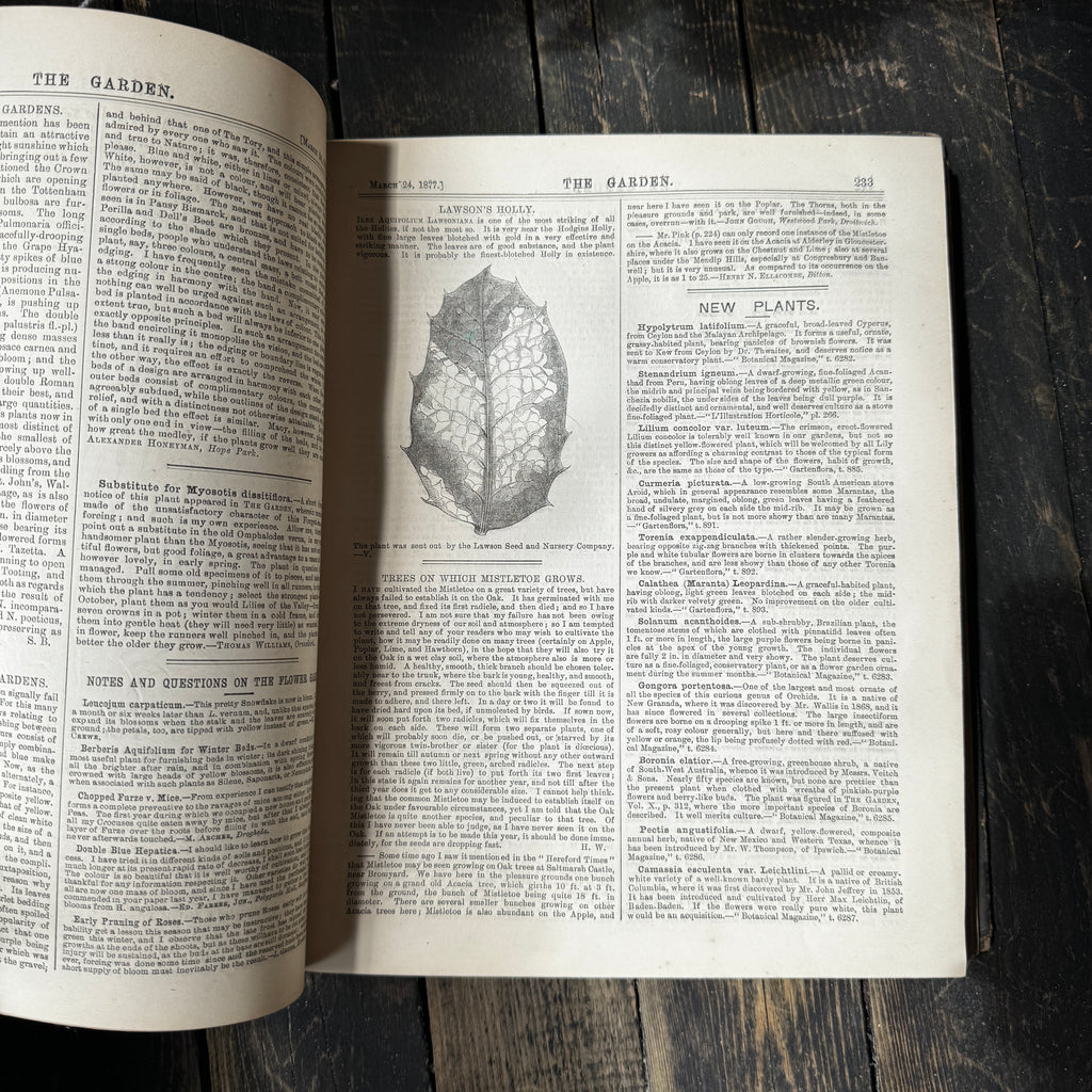 Leather bound Volume XI The Garden Illustrated Weekly, 1877