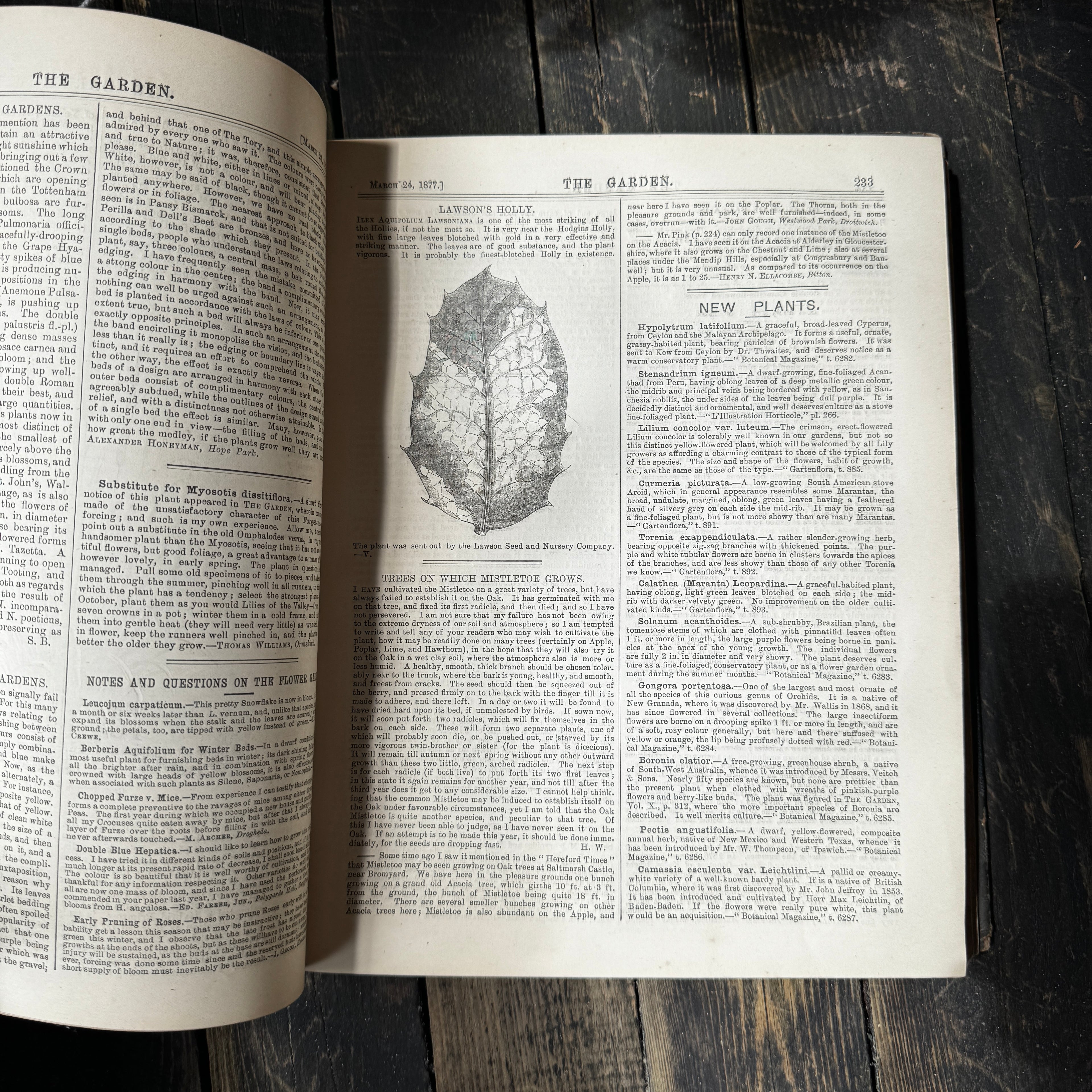 Leather bound Volume XI The Garden Illustrated Weekly, 1877