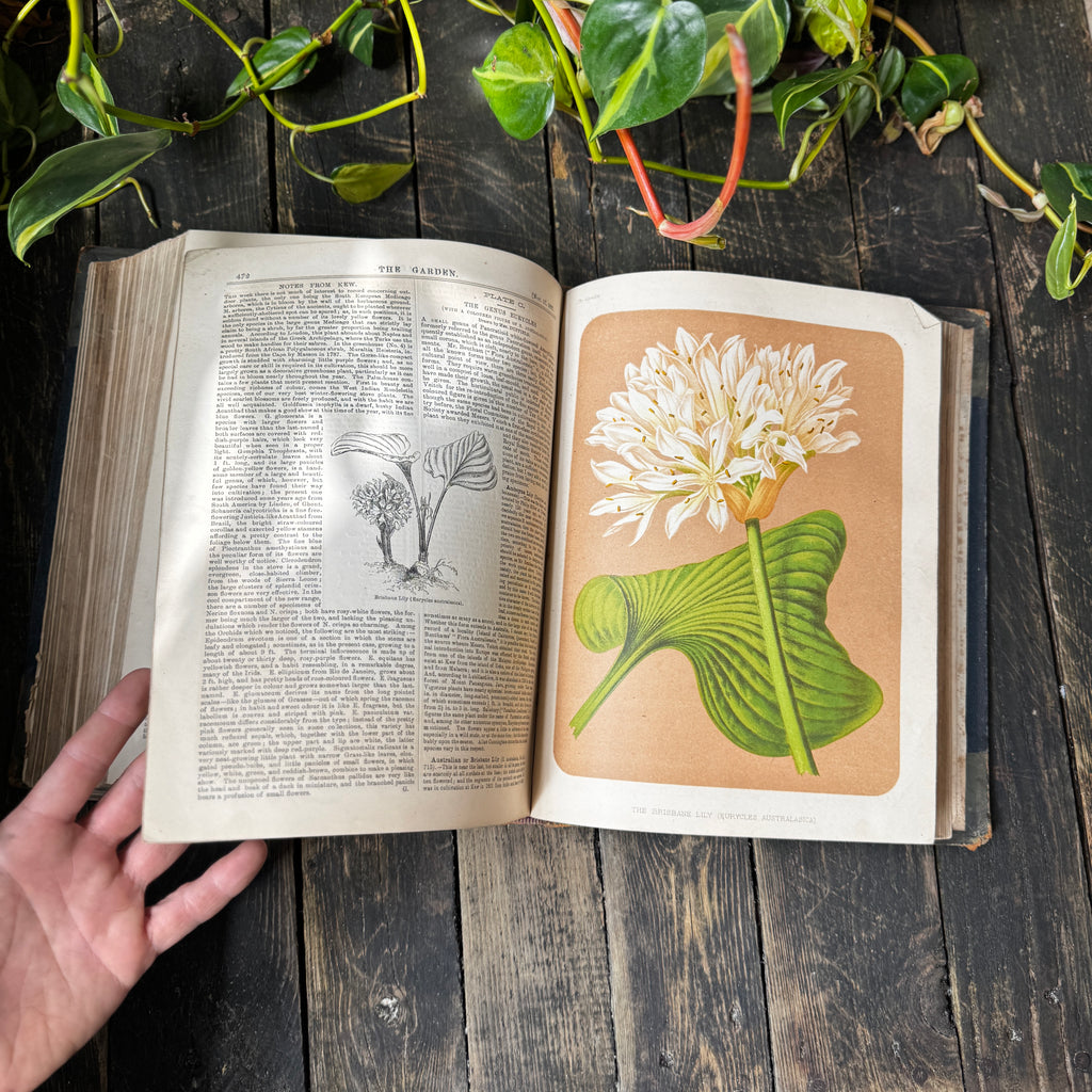 Leather bound Volume XII The Garden Illustrated Weekly