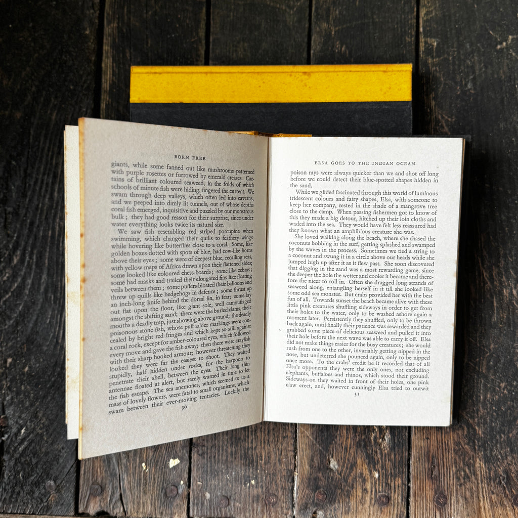 Set of Two Joy Adamson Books Born Free and Living Free, telling the story of Elsa the Lioness