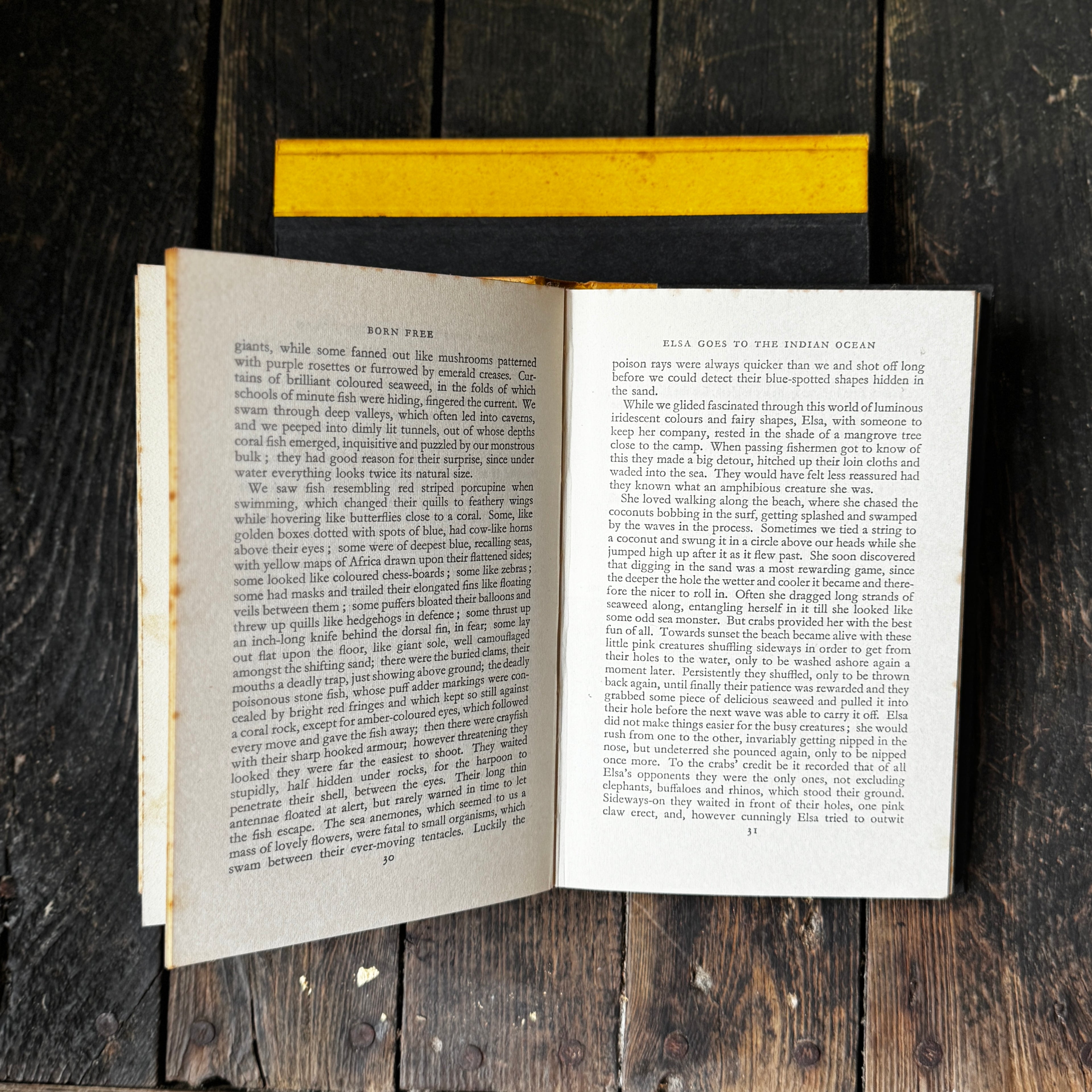 Set of Two Joy Adamson Books Born Free and Living Free, telling the story of Elsa the Lioness